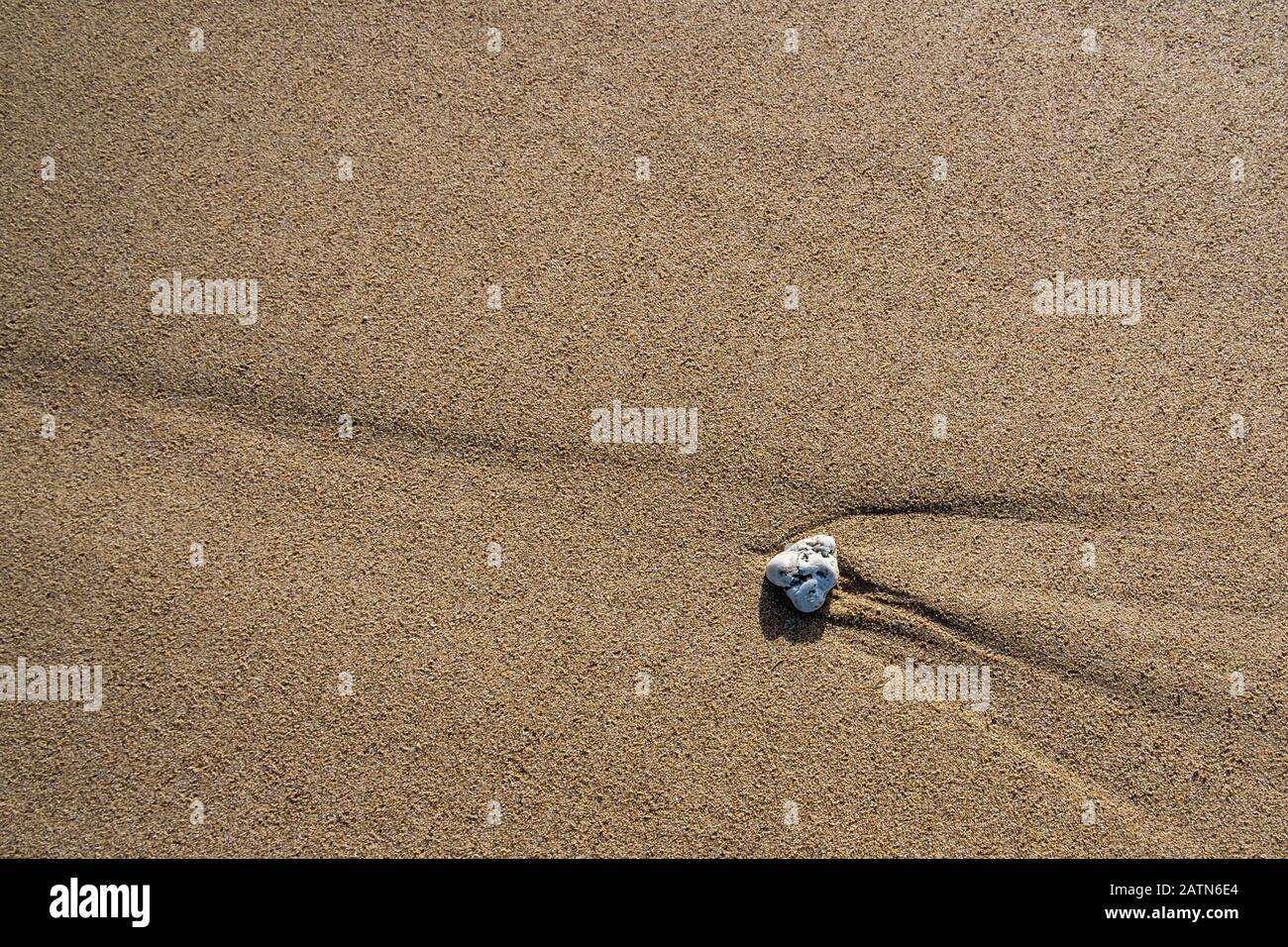A stone on a sandy beach at low tide. Stock Photo