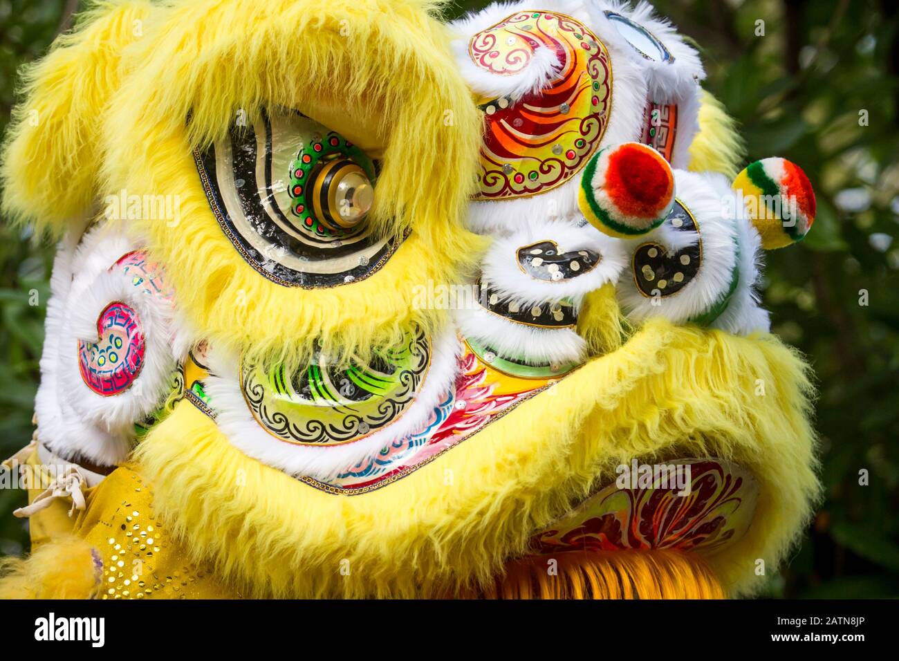 Chinese Dragon During The Chinese New Year Celebrations Stock Photo