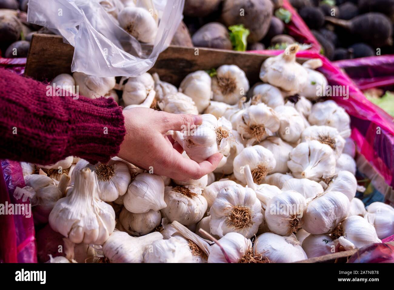 Choosing very healthy vegetable dried garlic from a pile in a grocery