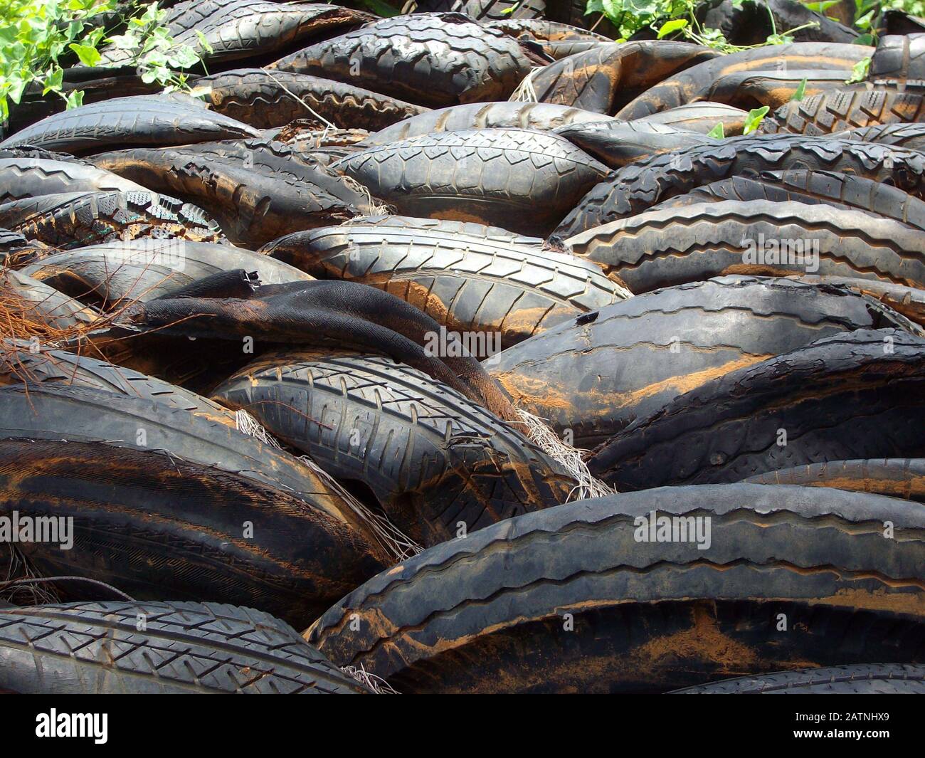 Pile of old tires squeezed together at a dump site Stock Photo