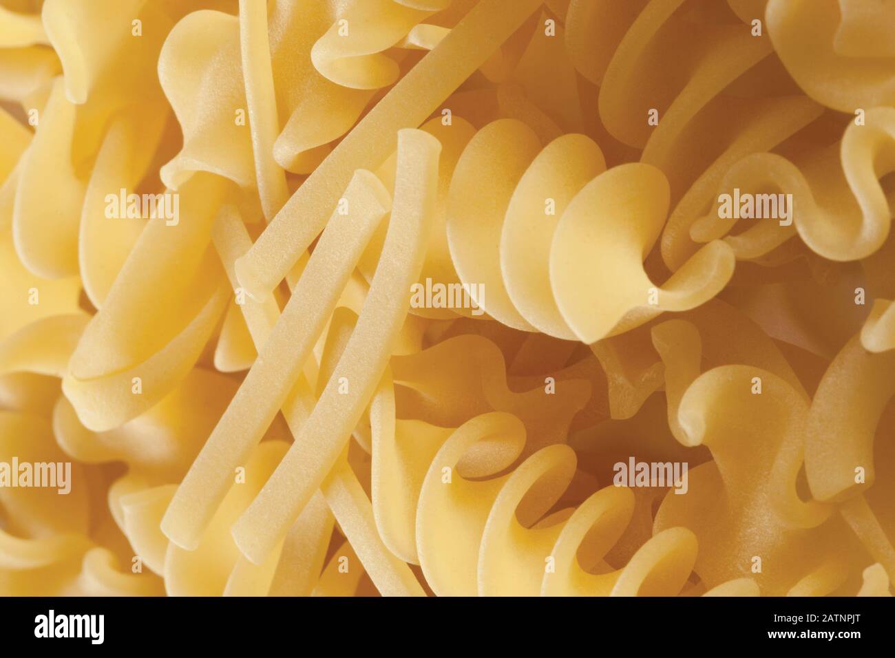 tipi di pasta corta nomi