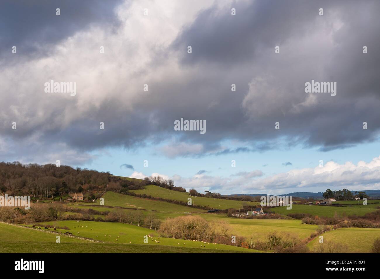 Rolling hills of Dorset Stock Photo