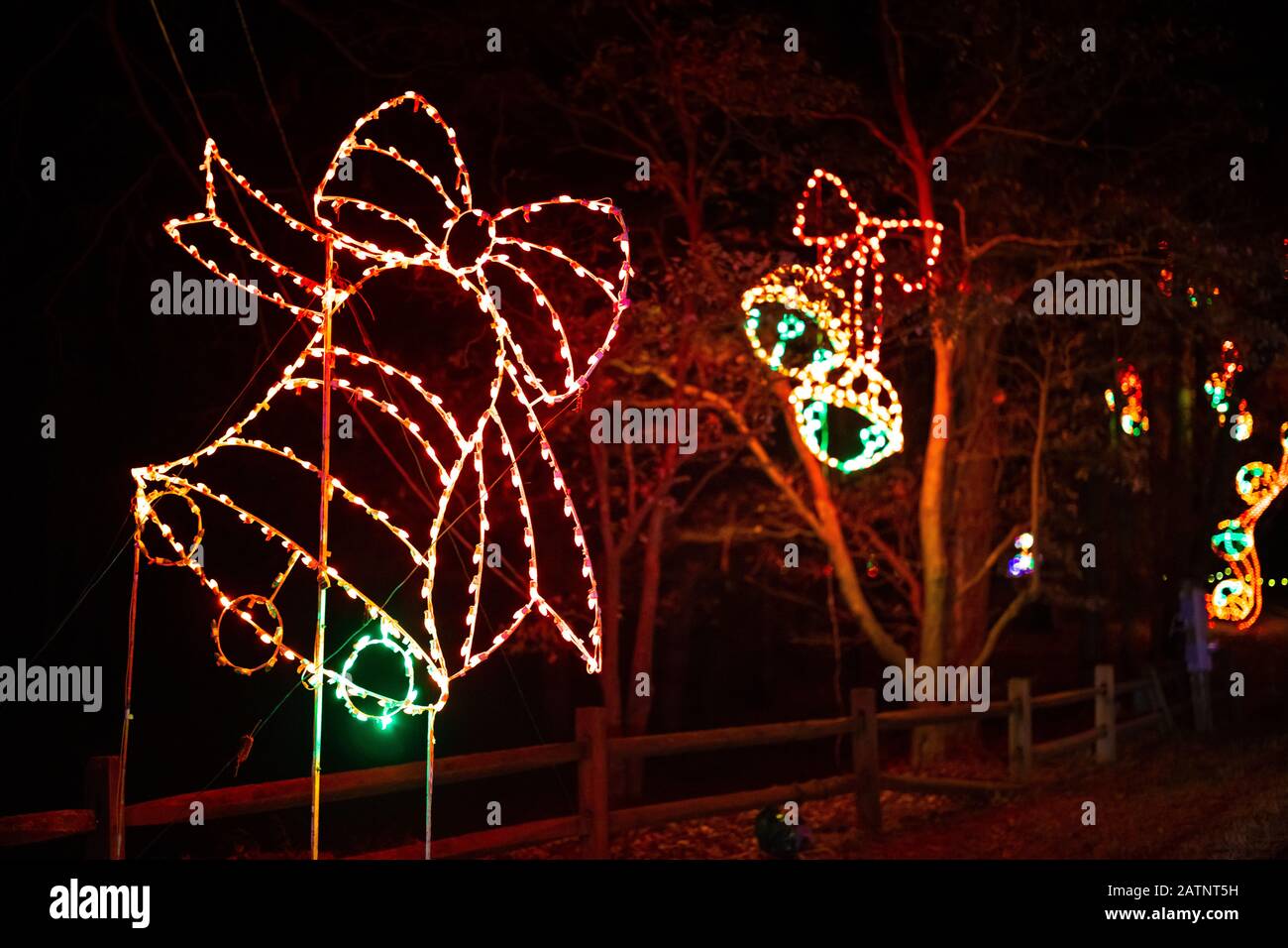 Christmas lights decoration bells on the trees Stock Photo