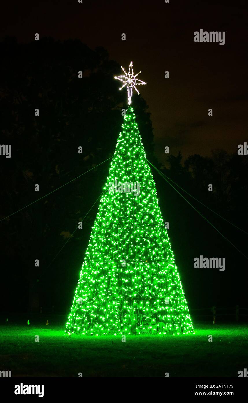 Christmas tree fairy lights lit up with star Stock Photo Alamy
