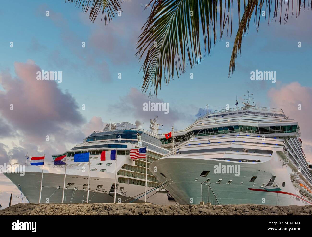Two Cruise Ships Past Palm at Dusk Stock Photo - Alamy