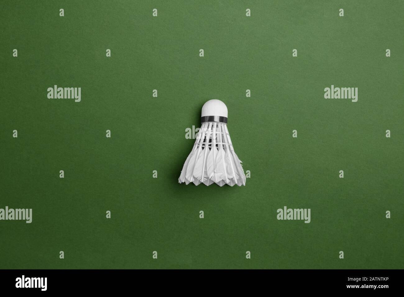 Bright white shuttlecock. Professional sport equipment isolated on