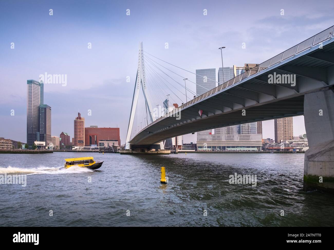 A yellow and black water taxi near Erasmus Bridge travels along the Port of Rotterdam waterfront, Rotterdam, Holland, The Netherlands Stock Photo