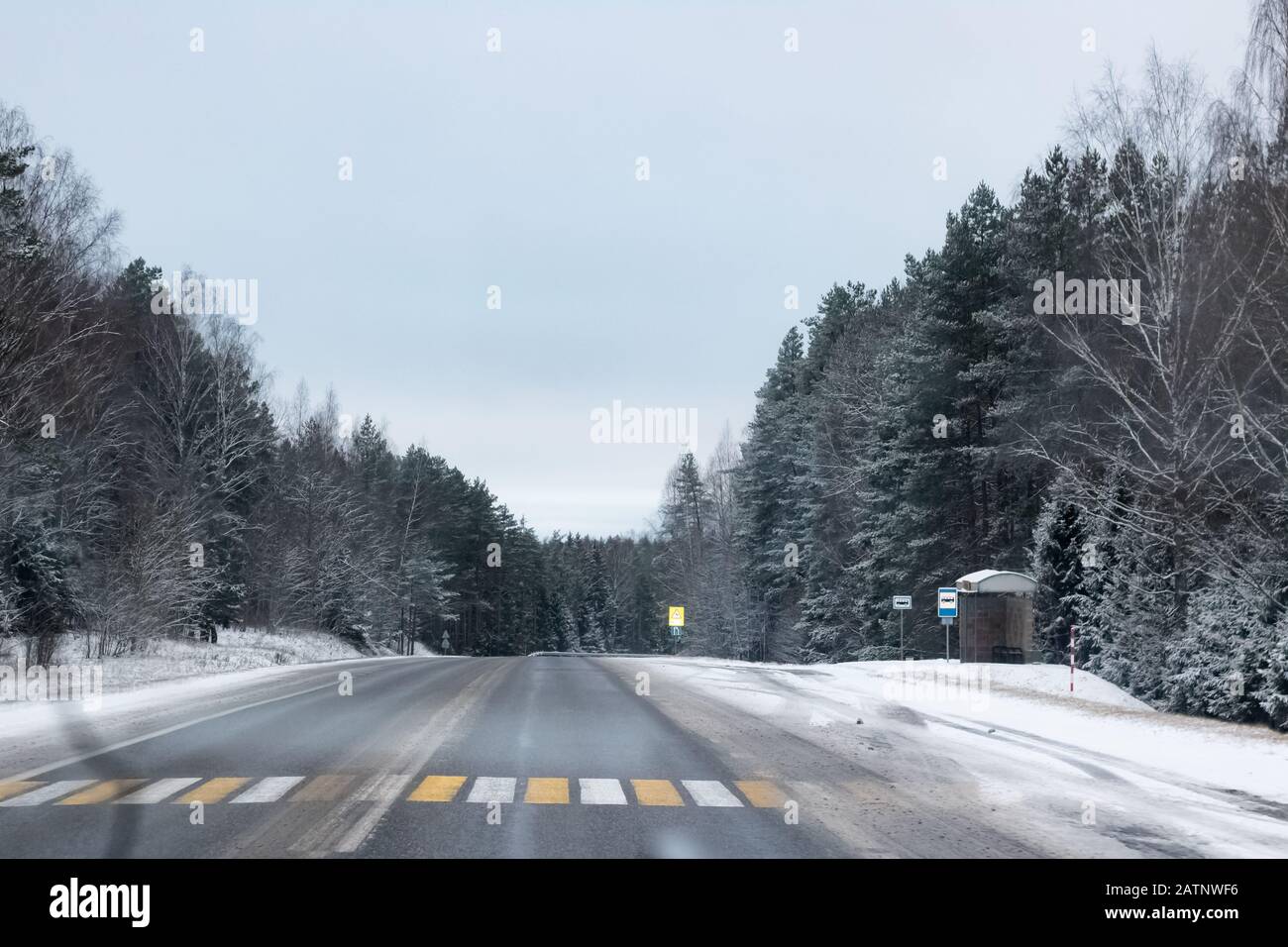Asphalt road in a snowy forest and gray sky Stock Photo - Alamy