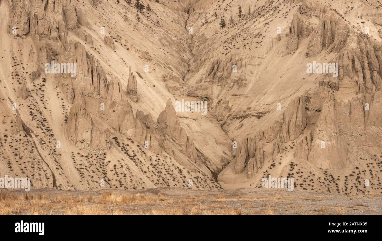 The natural and iconic hoodoos and sagebrushes at Farwell Canyon, BC, Canada. Stock Photo