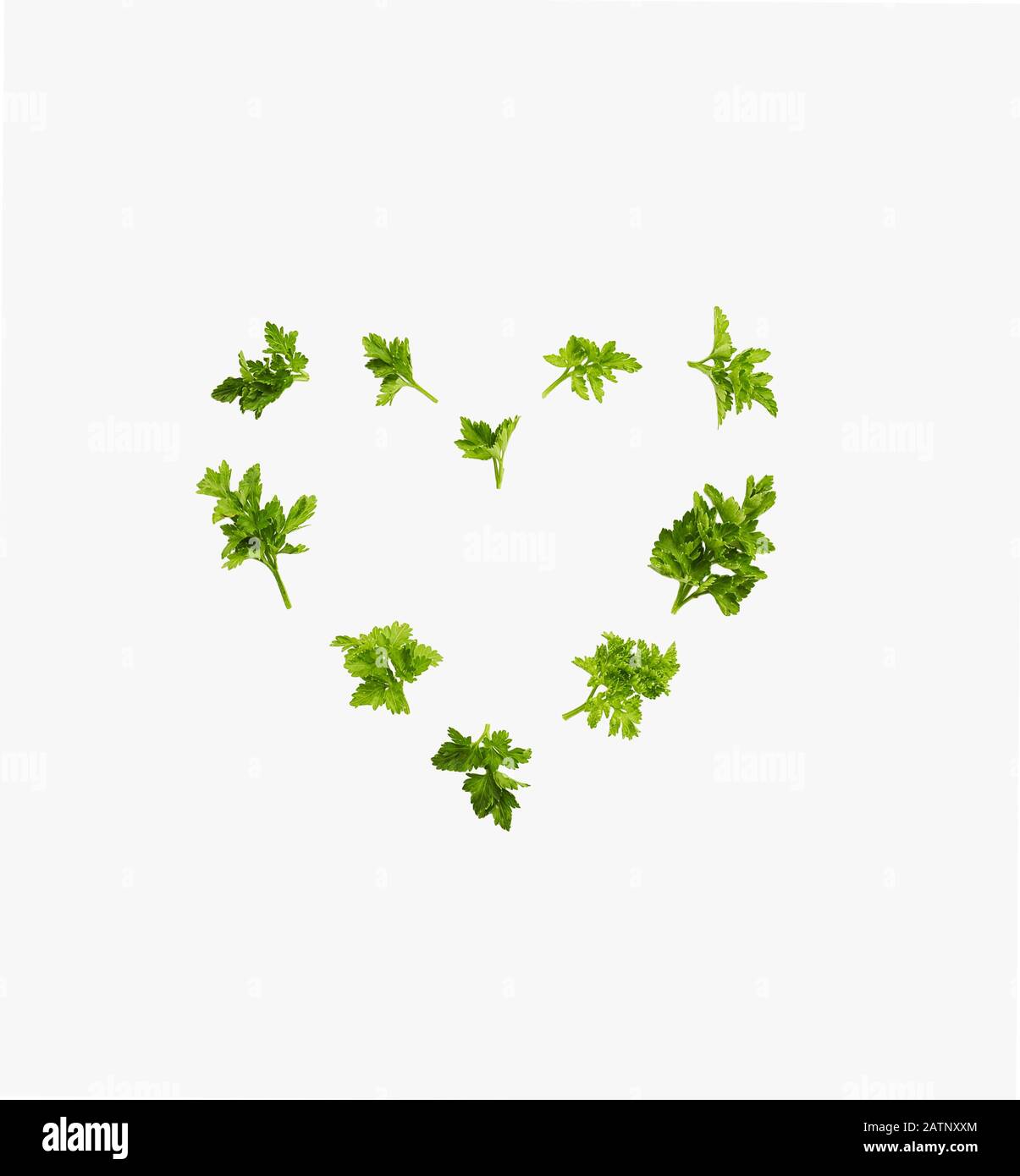 Heart shaped with green parsley herb isolated on white, creative valentine's layout or frame for