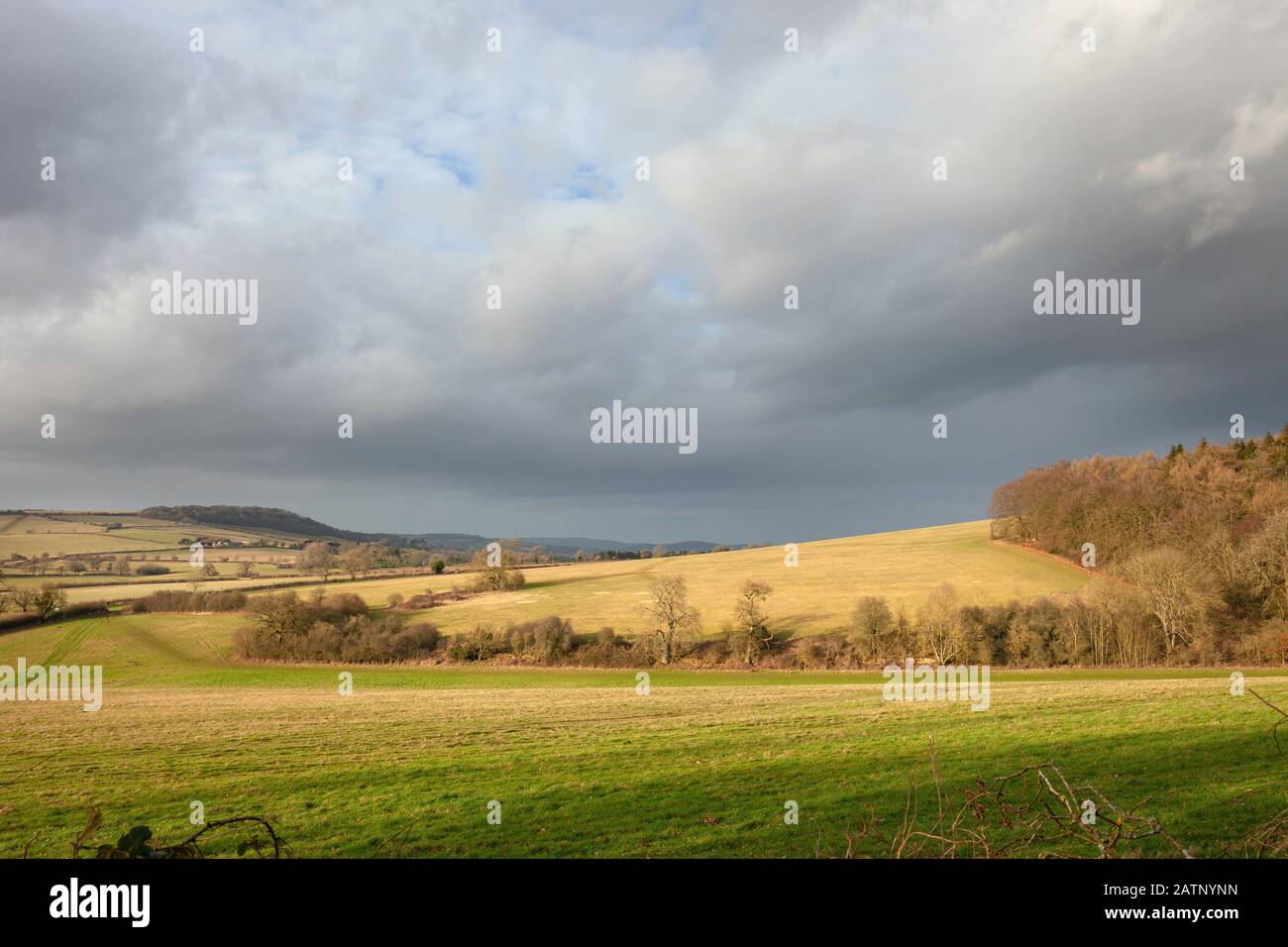 Farmland at Brockhampton near Winchcombe, Cotswolds, Gloucestershire, England Stock Photo