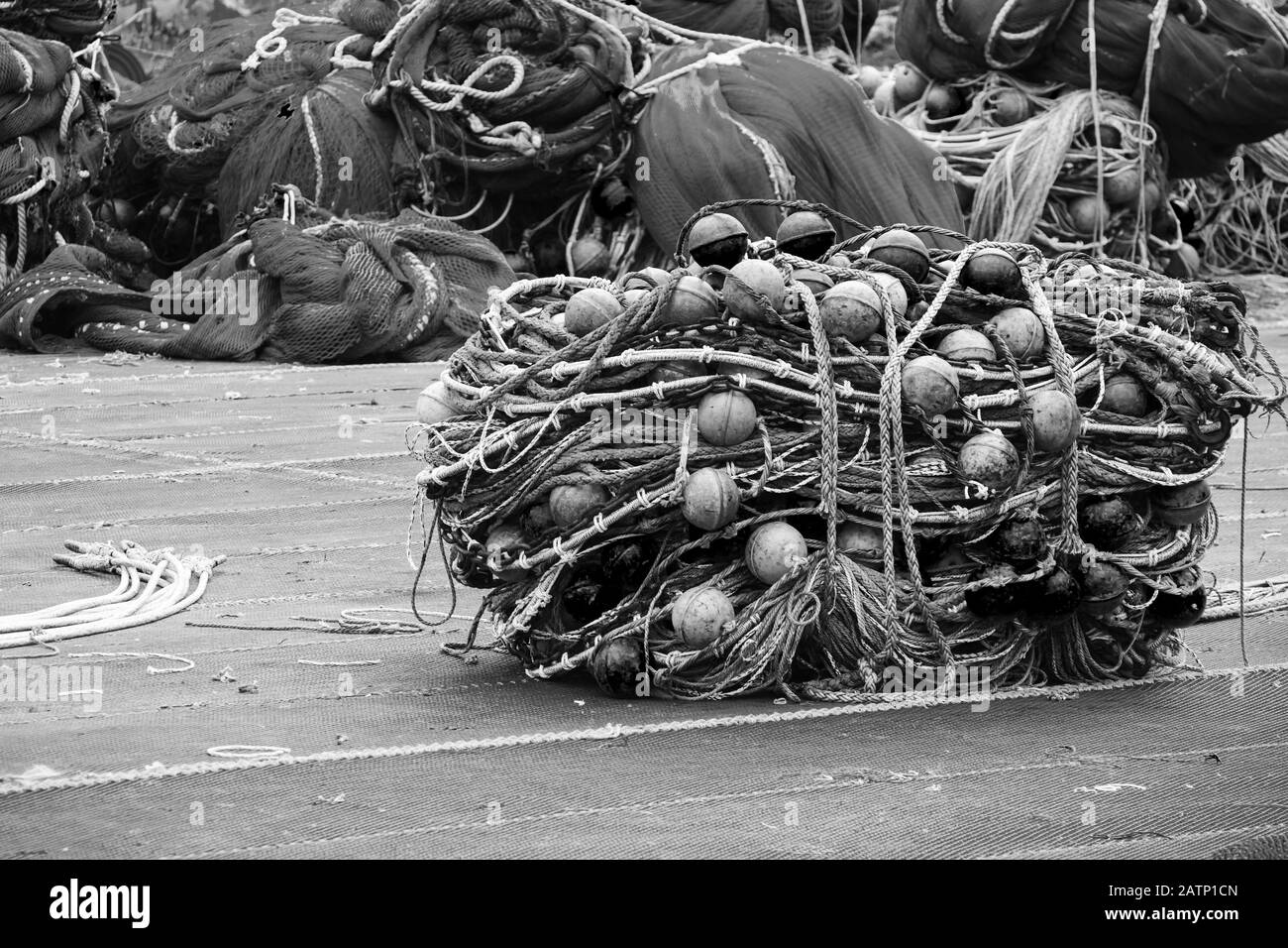 Netting fishing Black and White Stock Photos & Images - Alamy