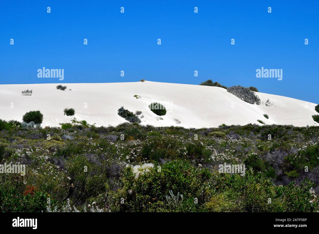 Dunes along indian ocean hi-res stock photography and images - Alamy