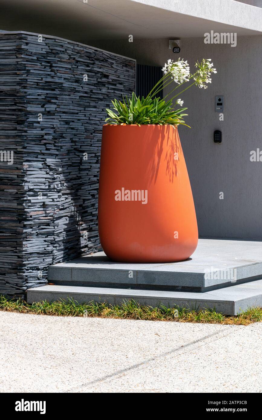 Giant contemporary planter containing Agapanthus on front doorstep of house in Cape Town, South