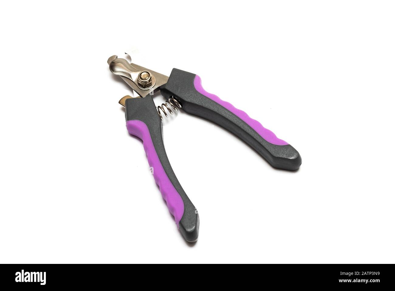 Dog claws scissors isolated on a white background Stock Photo Alamy