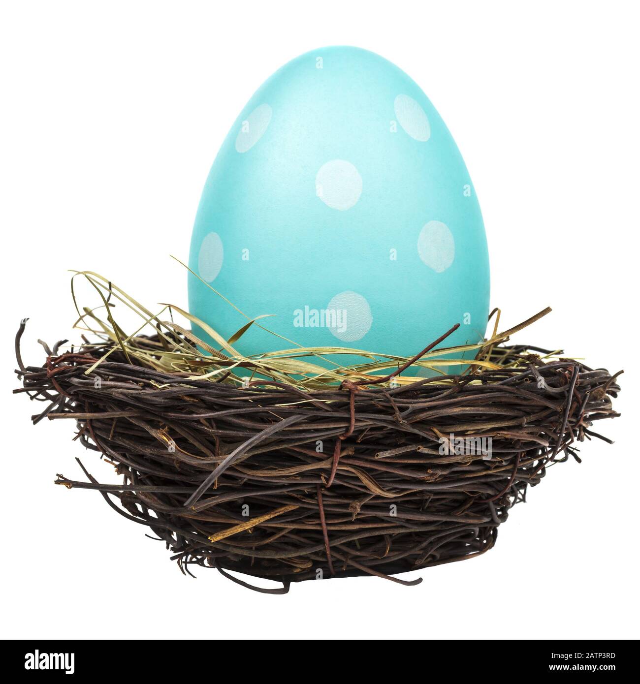 Blue dyed big easter egg in a bird nest isolated on a white background ...