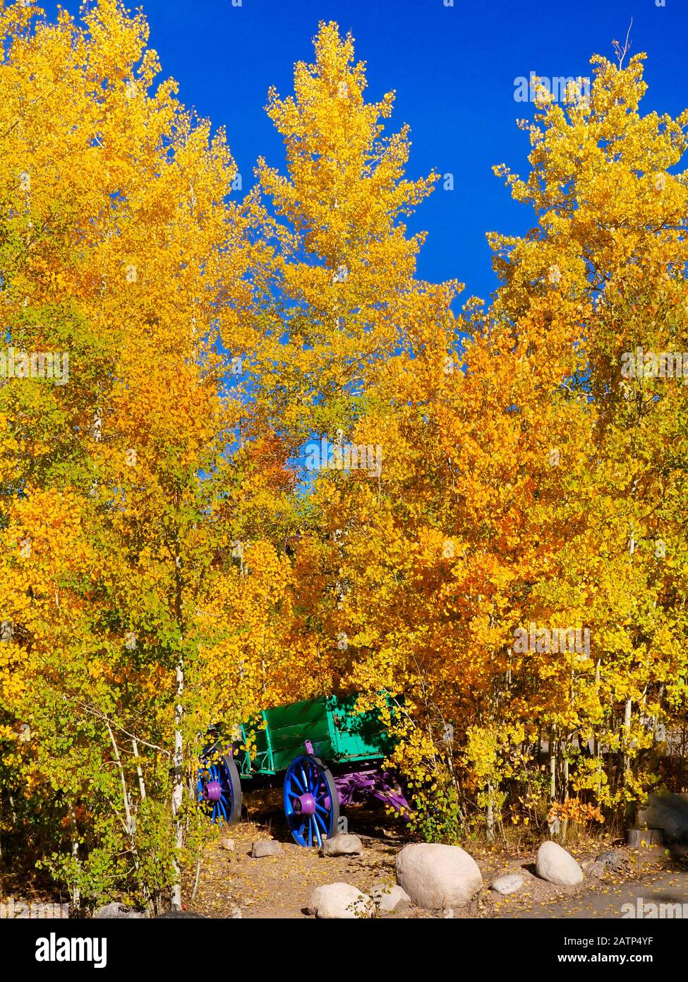 Grand Lake Lodge Grand Lake Colorado Usa Stock Photo 342235587