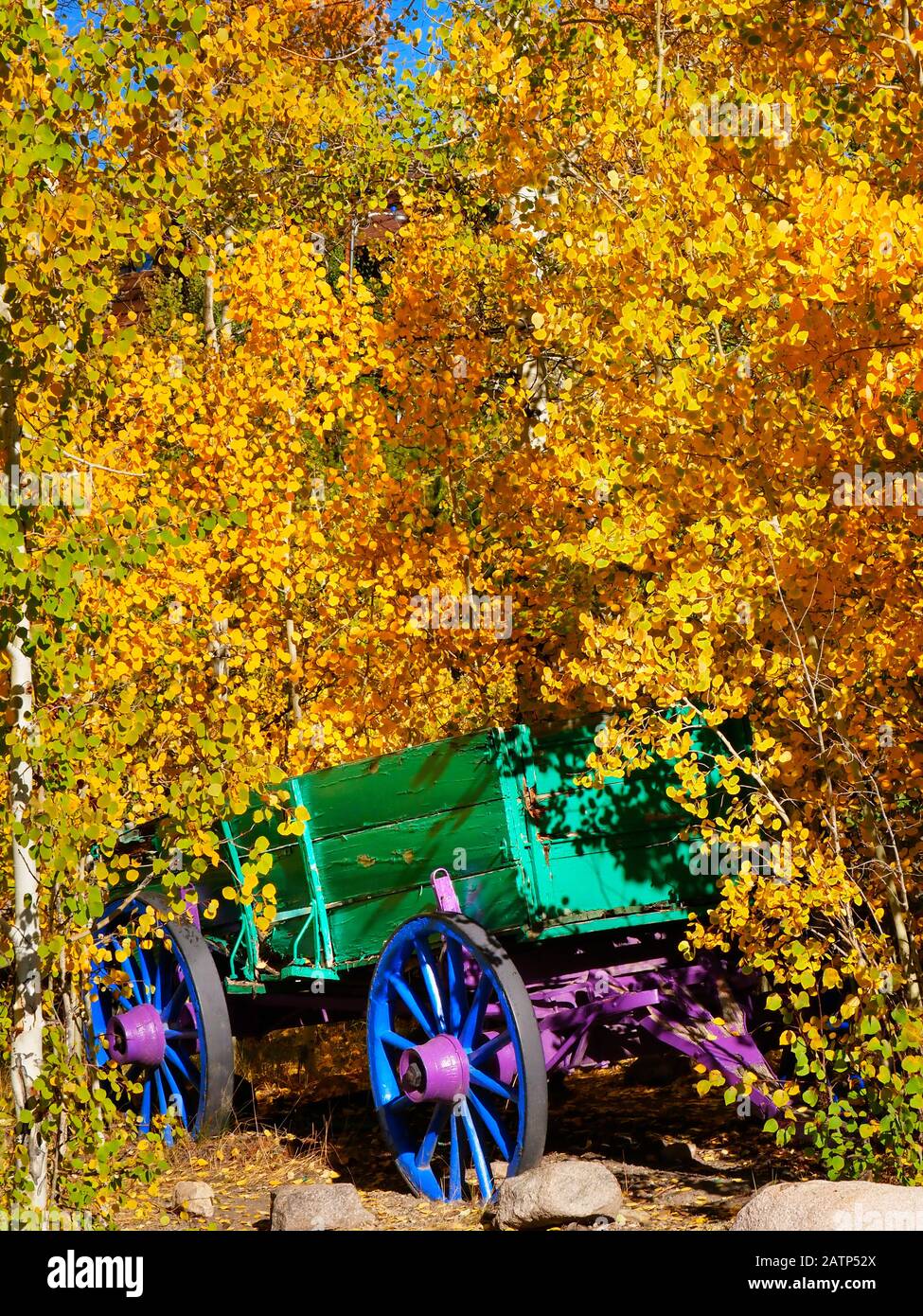 Grand Lake Lodge Grand Lake Colorado Usa Stock Photo 342235682