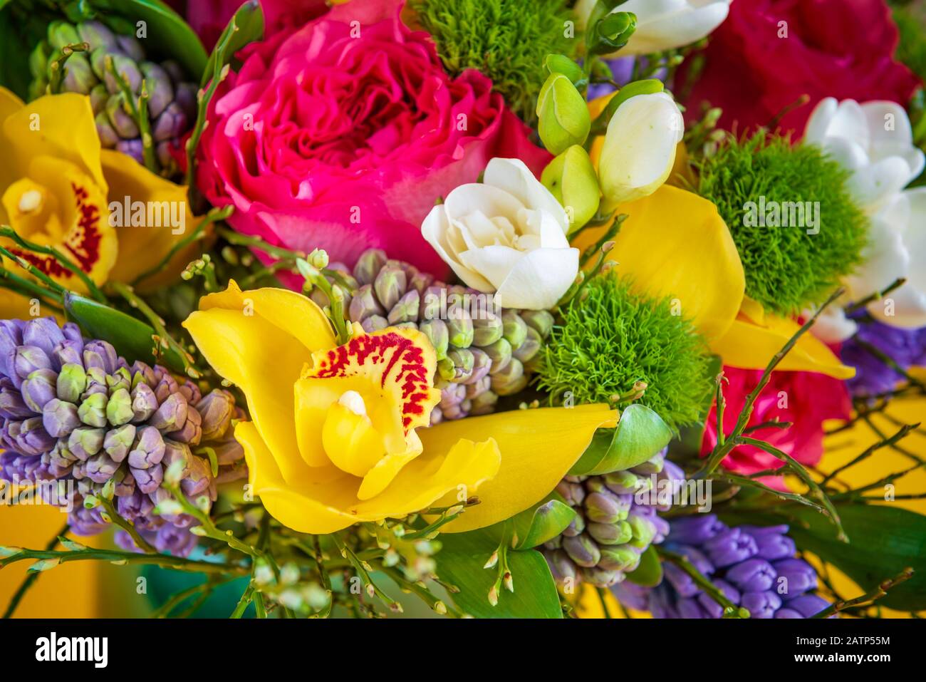Beautiful colorful flowers background Stock Photo - Alamy
