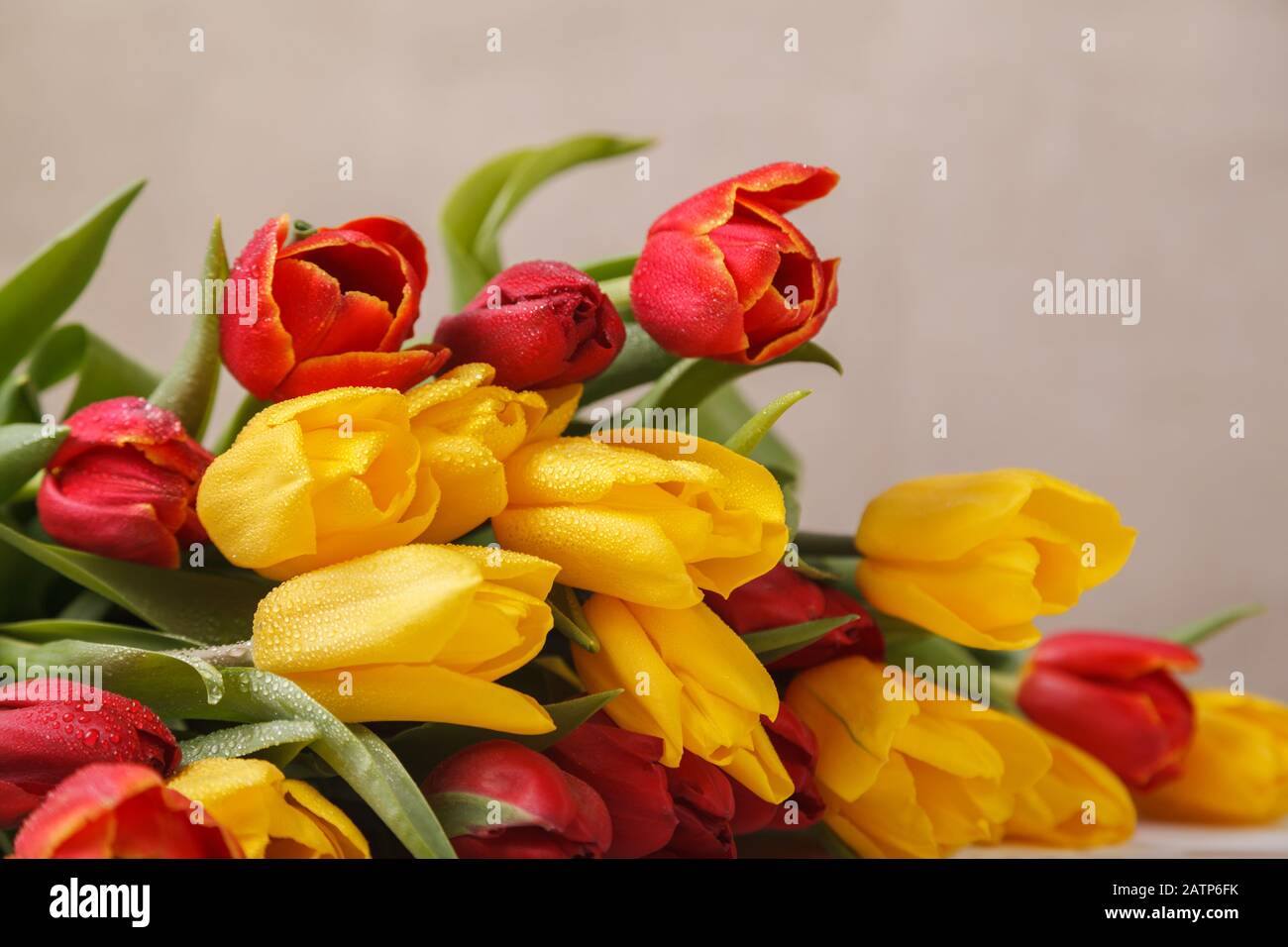 Yellow red flowers tulips fresh bouquet with green leaves and stem with ...