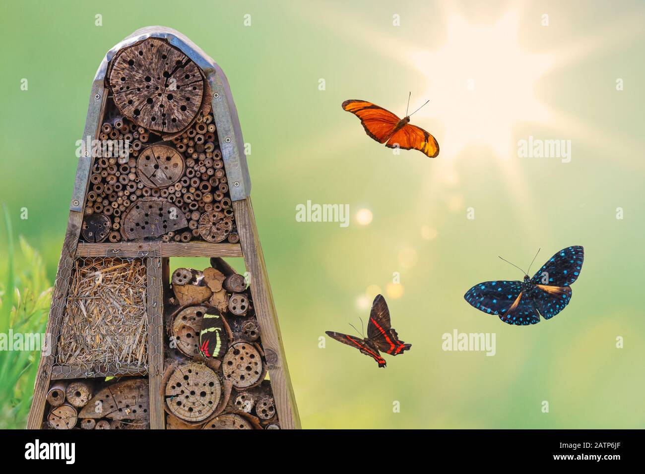Insect hotel with flying butterflies and shining sun Stock Photo
