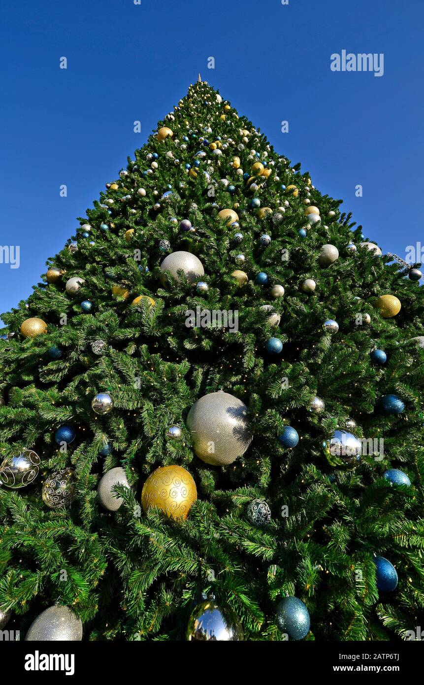 Australia, Perth, decorated Christmas tree on Elizabeth quay in the