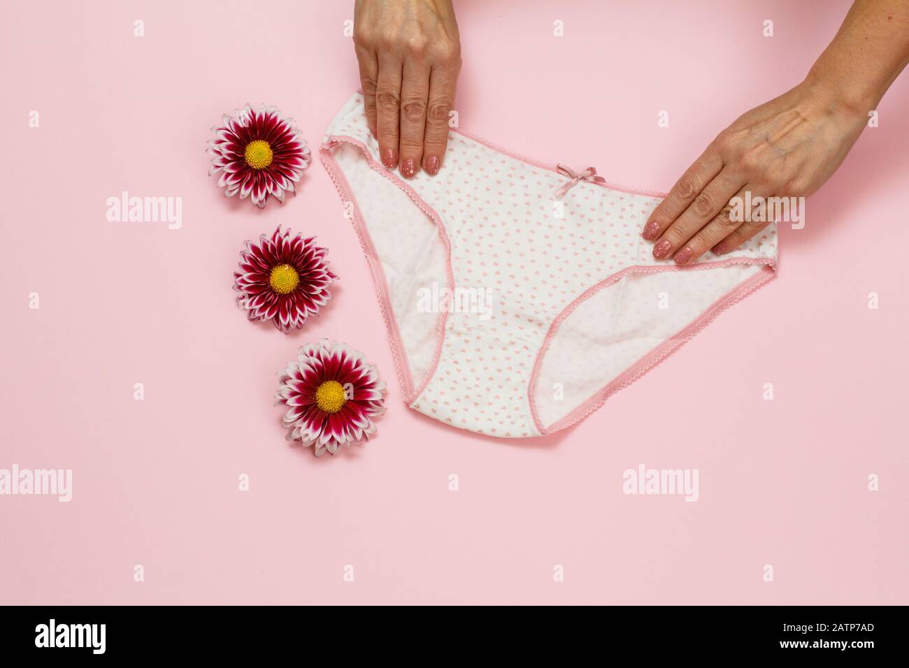 Women's hands holding beautiful cotton white panties on pink background with red flowers buds. Woman underwear set. Top view. Stock Photo