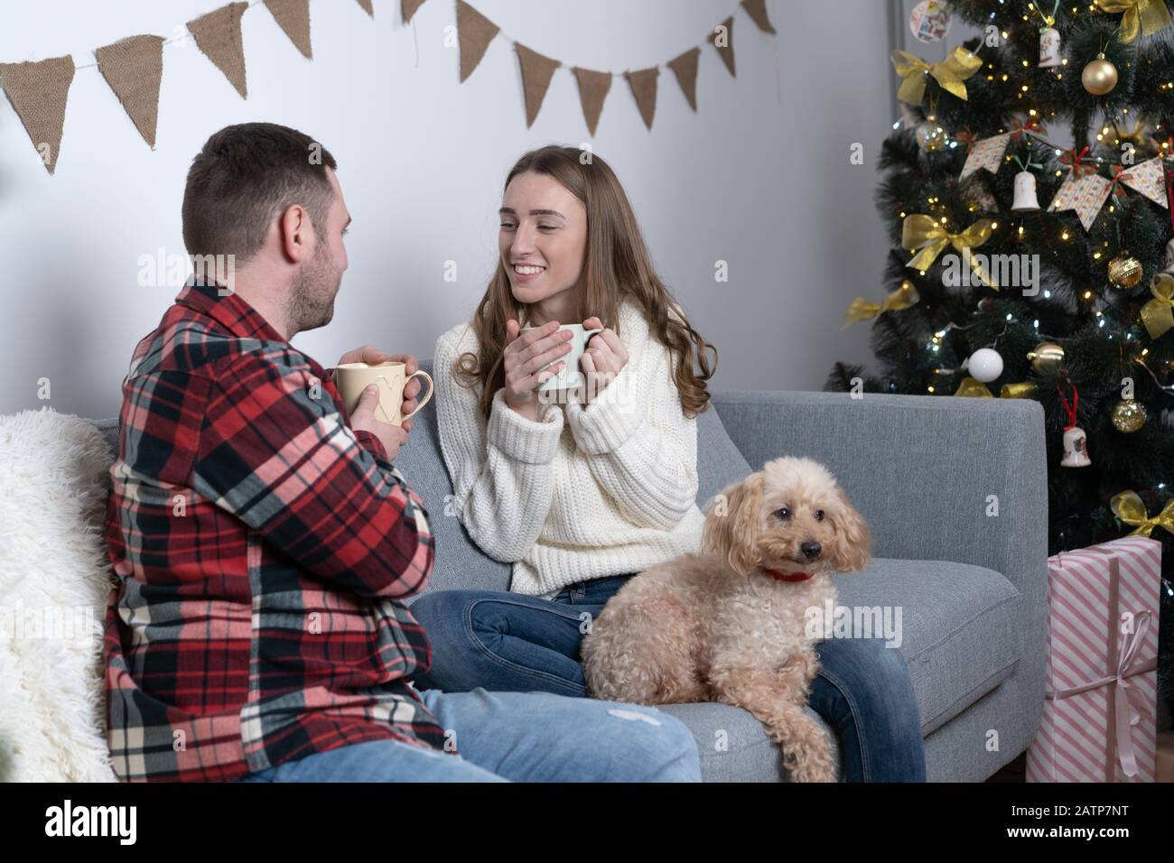 What Happens If A Dog Drinks Tea