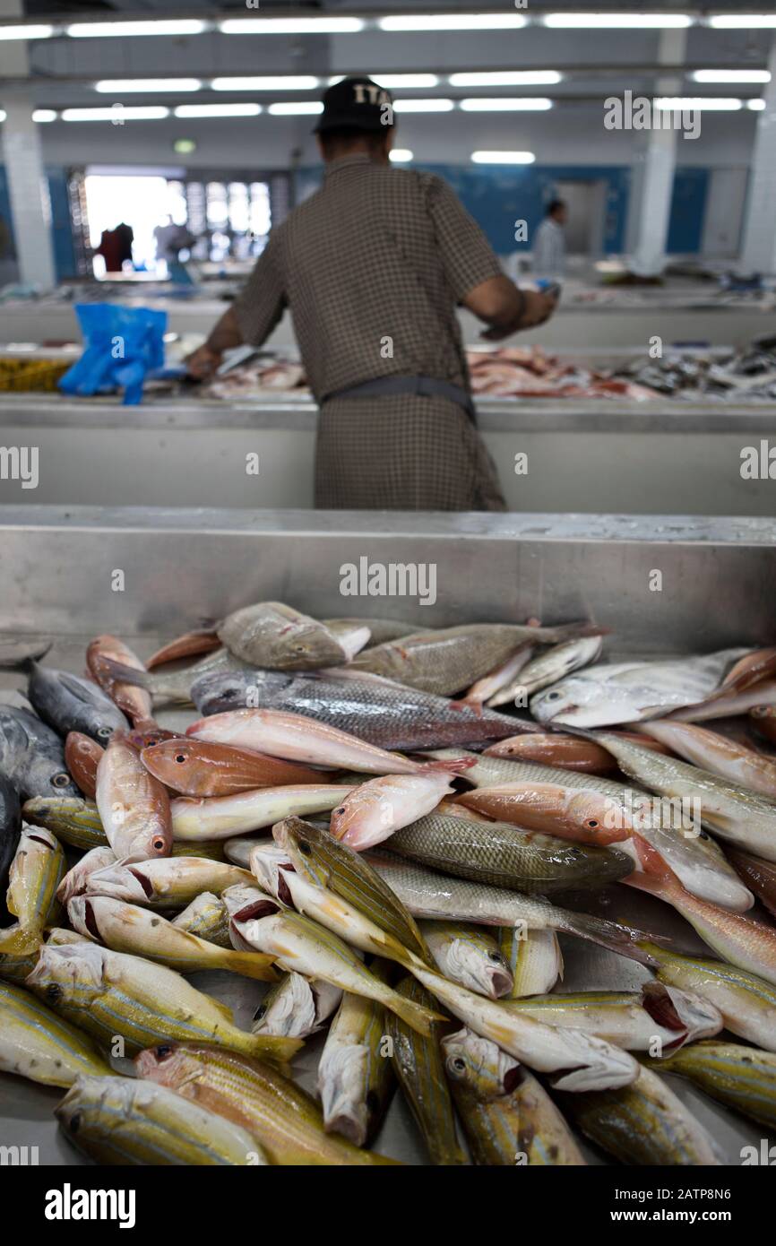 Sea fishes on the counter in Muscat fish shop. Stock Photo