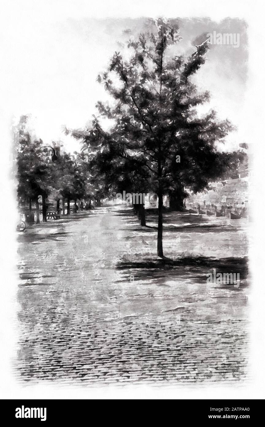 Tree on the Sidewalk Photograph with Watercolor style digital painting. Stock Photo
