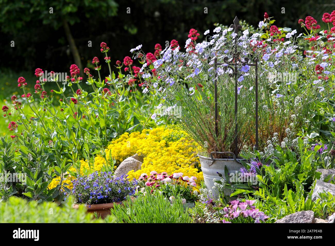Landscape gardening, gardening Stock Photo