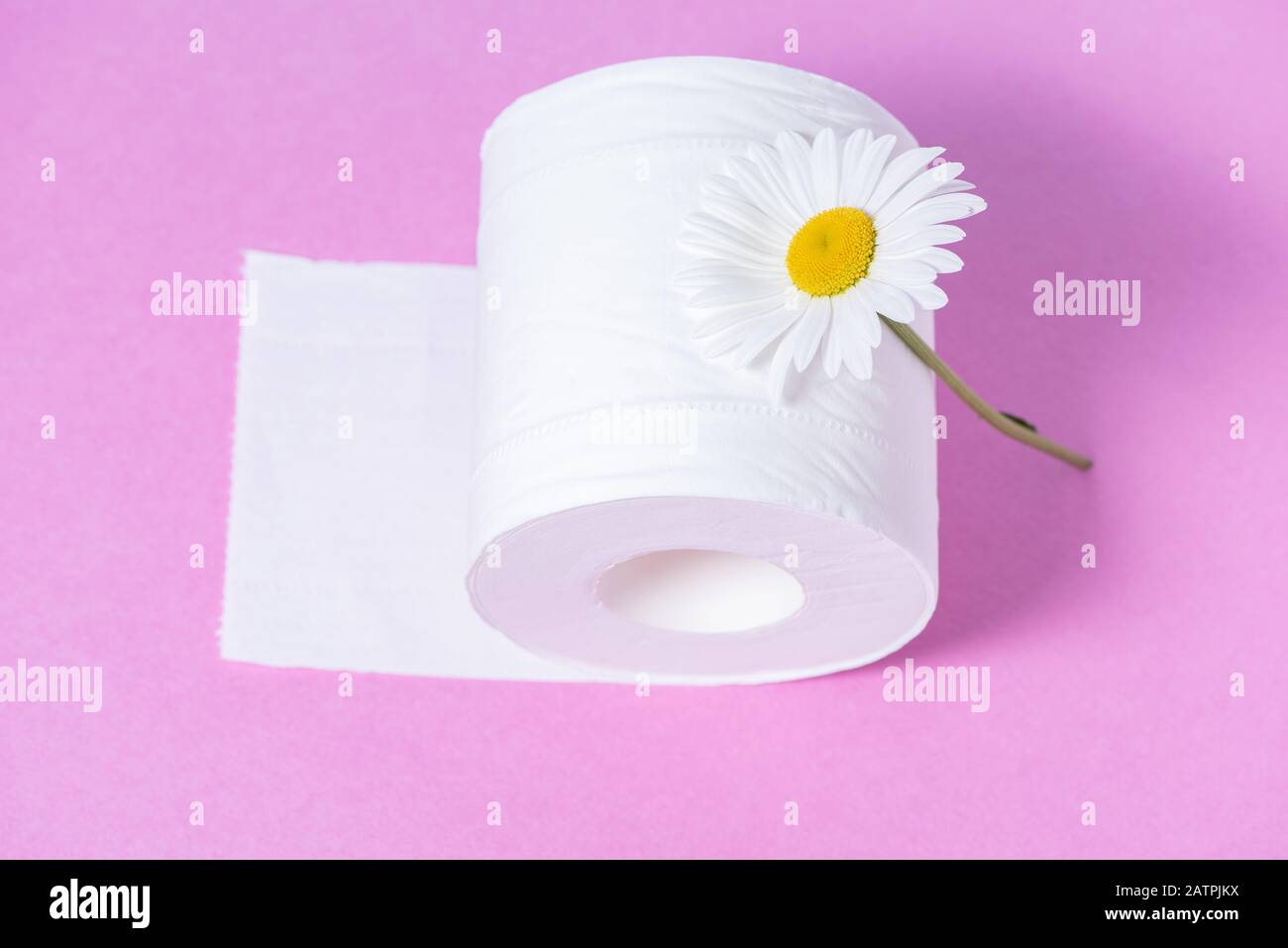 White perforated toilet paper with the scent and beautiful daisy on a pink  background Stock Photo - Alamy