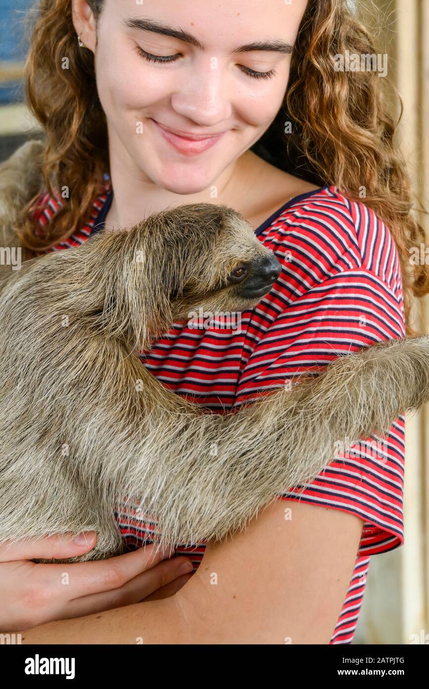 Young woman holding a sloth at a Sloth sanctuary; Roatan, Bay Islands