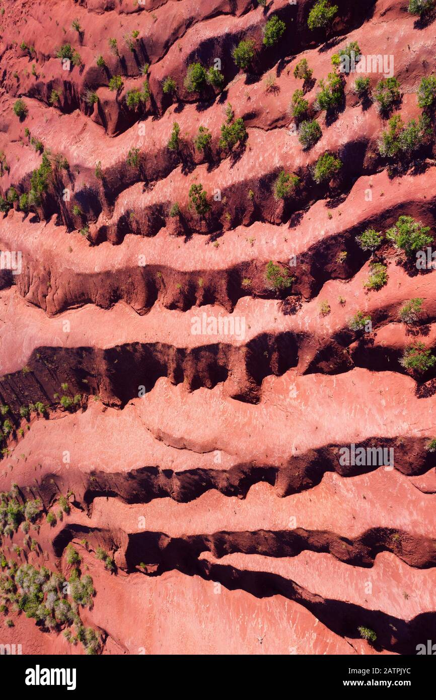 Terraced eroded mountainside, shrubs on red earth, near Agulo, drone photograph, La Gomera, Canary Islands, Spain Stock Photo
