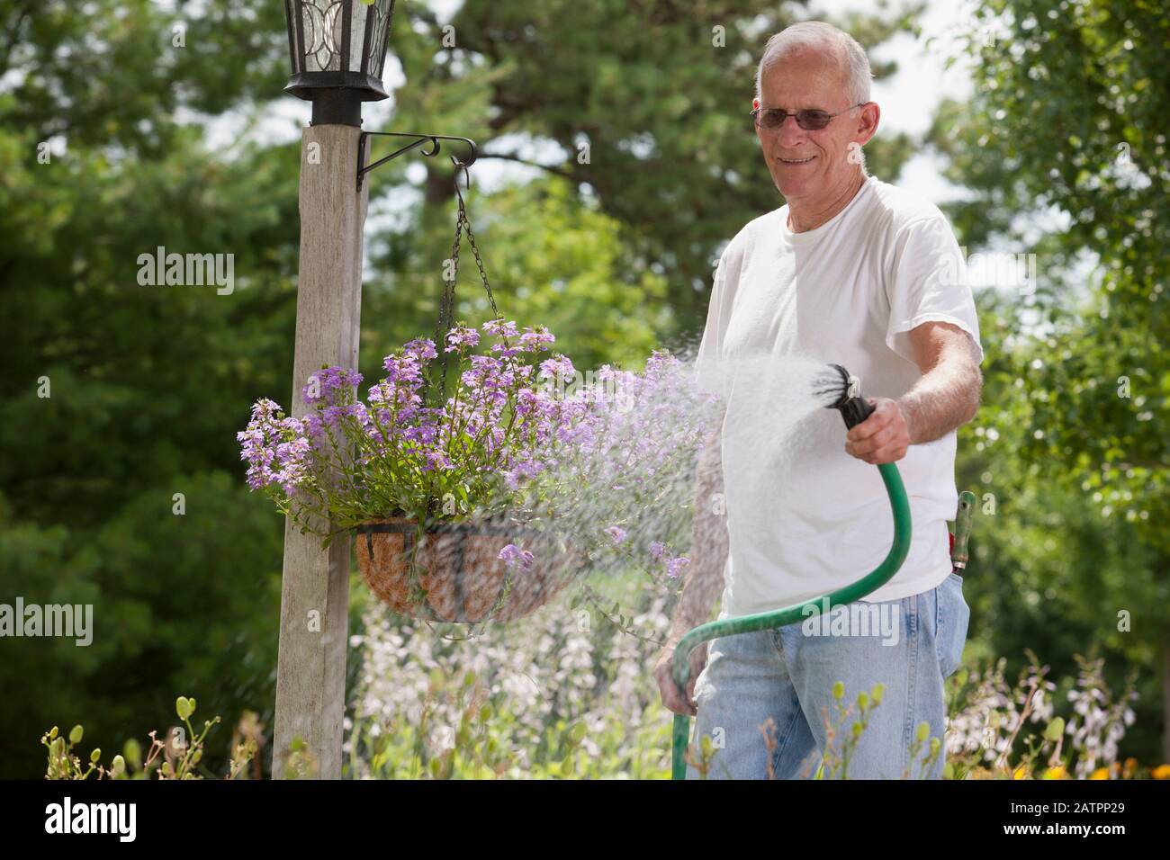 Man watering a hanging flower basket with a hose in his garden Stock Photo