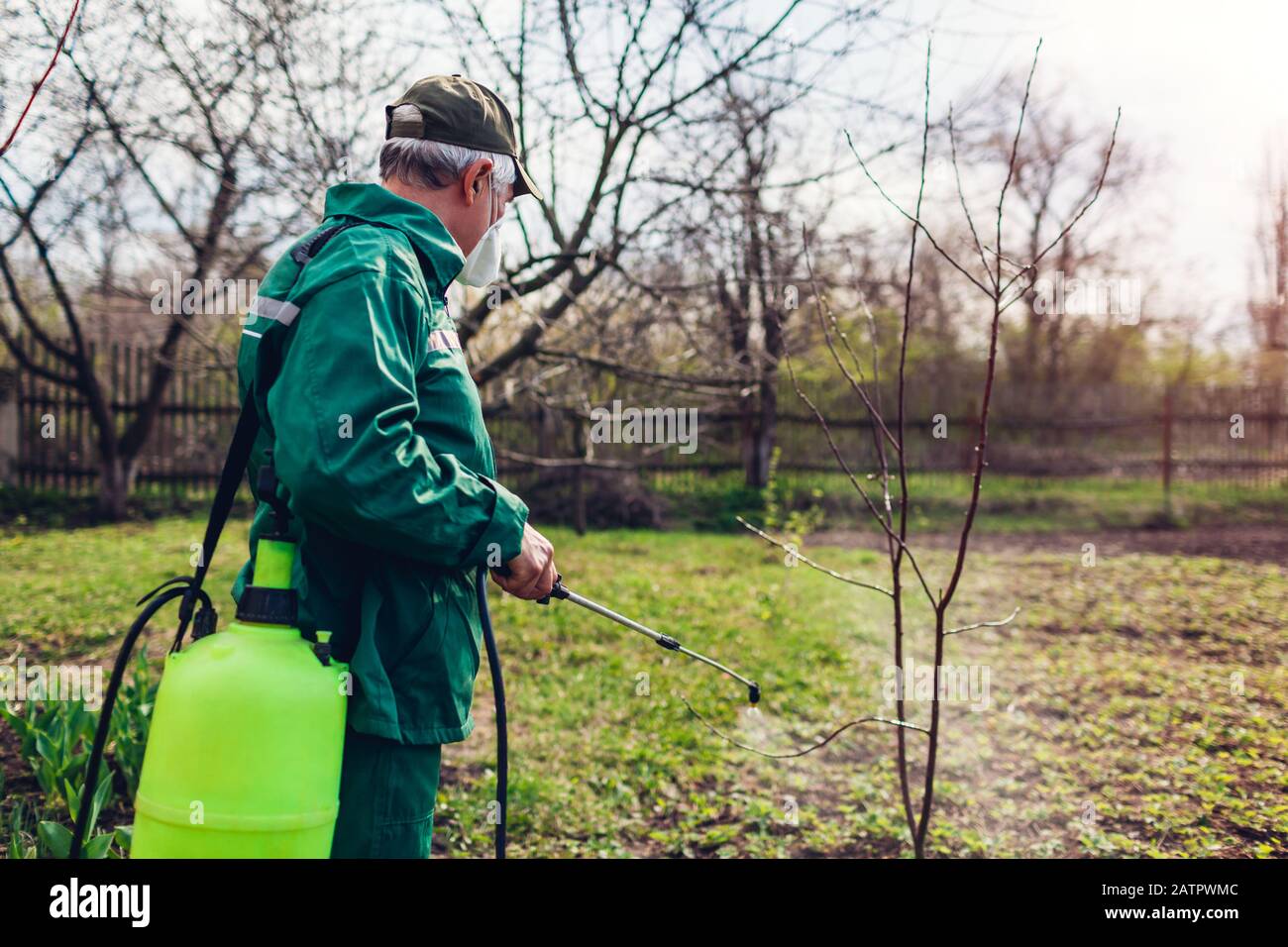 Farmer man spraying tree with manual pesticide sprayer against insects