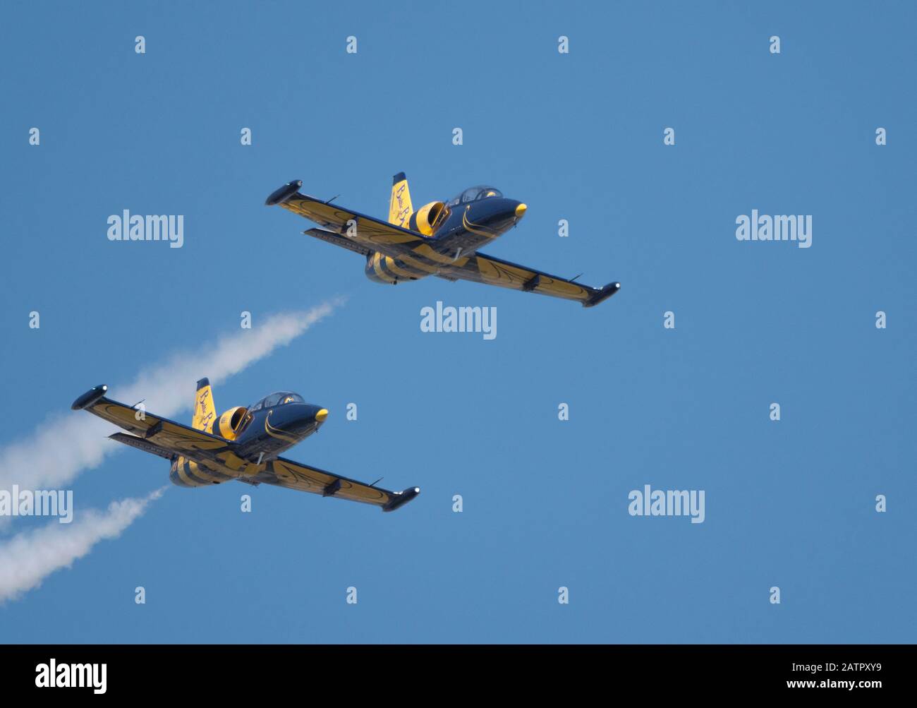 Baltic bees hi-res stock photography and images - Alamy
