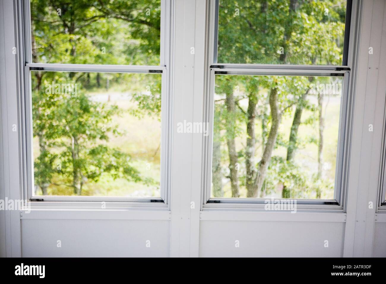 Trees and plants viewed through a window of a house Stock Photo - Alamy