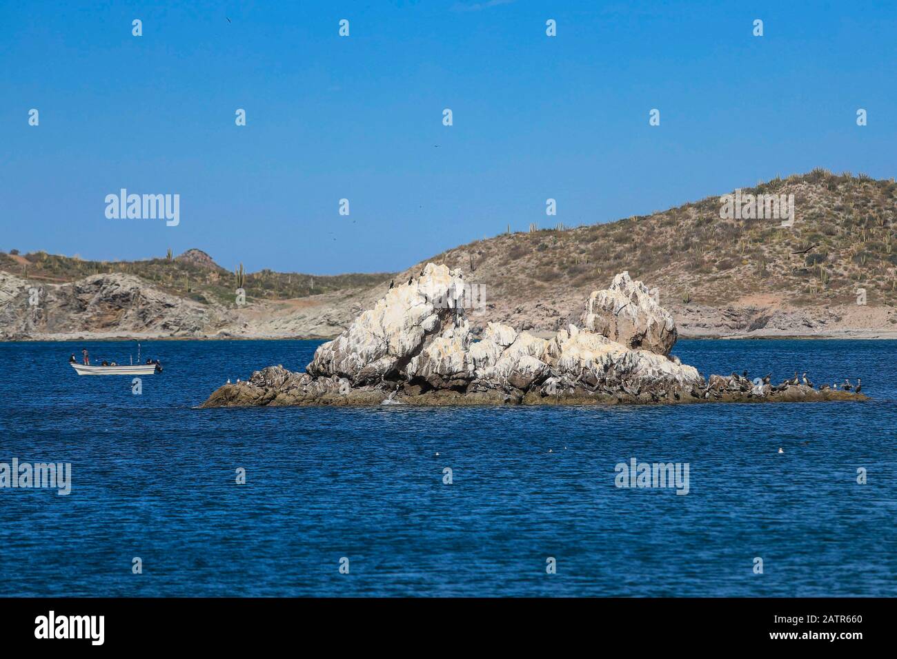 Islets, island in Choyudo beach. stable land area full of guano. Islet is a small island: Cayo, Faralló Islette, Isle, sea water, surrounded, body of water.  islotes, isla en playa el Choyudo. zona terrestre estable plagada de guano. islote es una pequeña isla: cayo, faralló islette, isle ,  agua de mar, rodeada, masa de agua,  (Photo:LuisGutierrez) Stock Photo