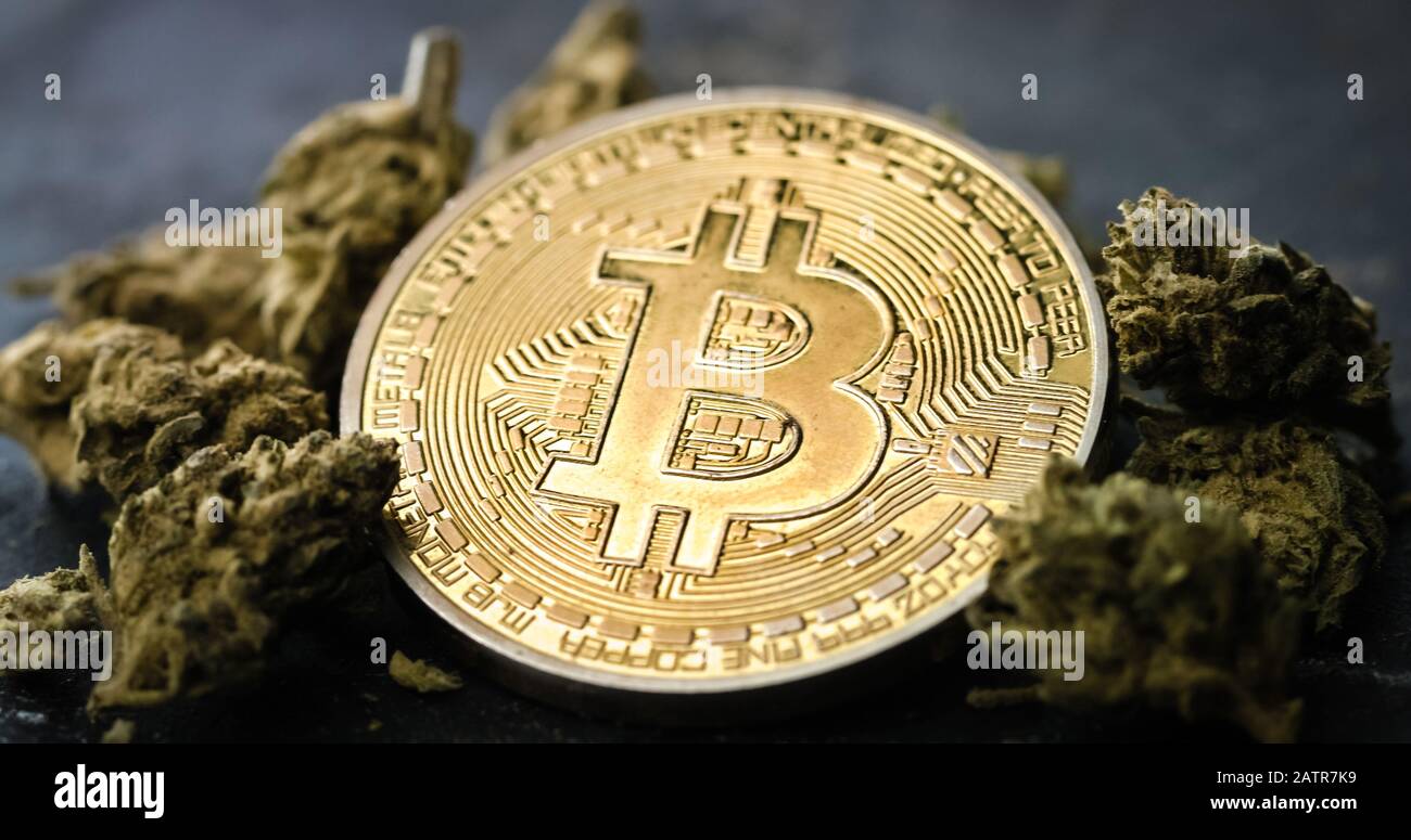 Cannabis crypto coin (89) foto