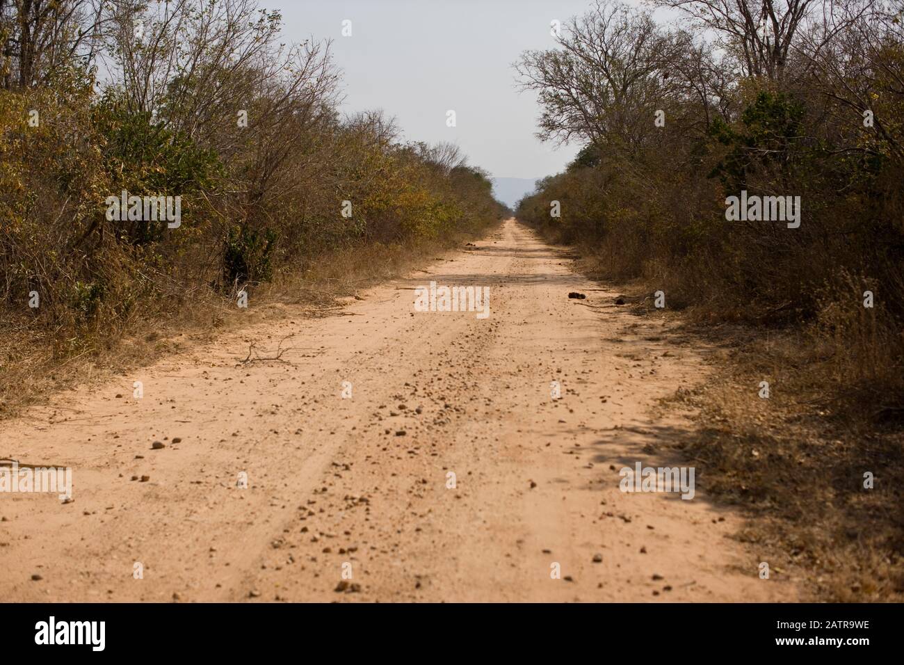 Long dirt road in the Highveld. Stock Photo