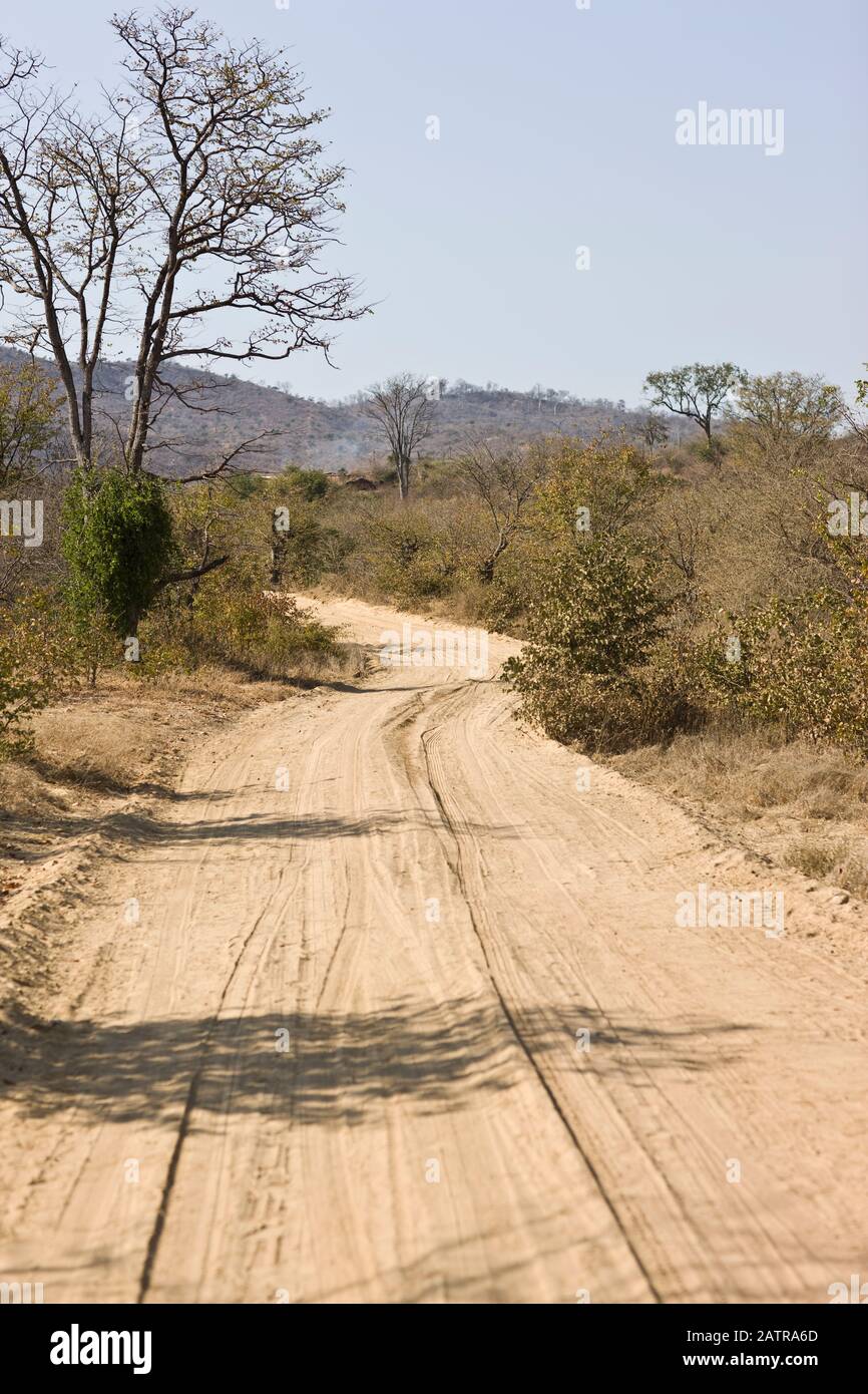 Dirt road in the highveld. Stock Photo