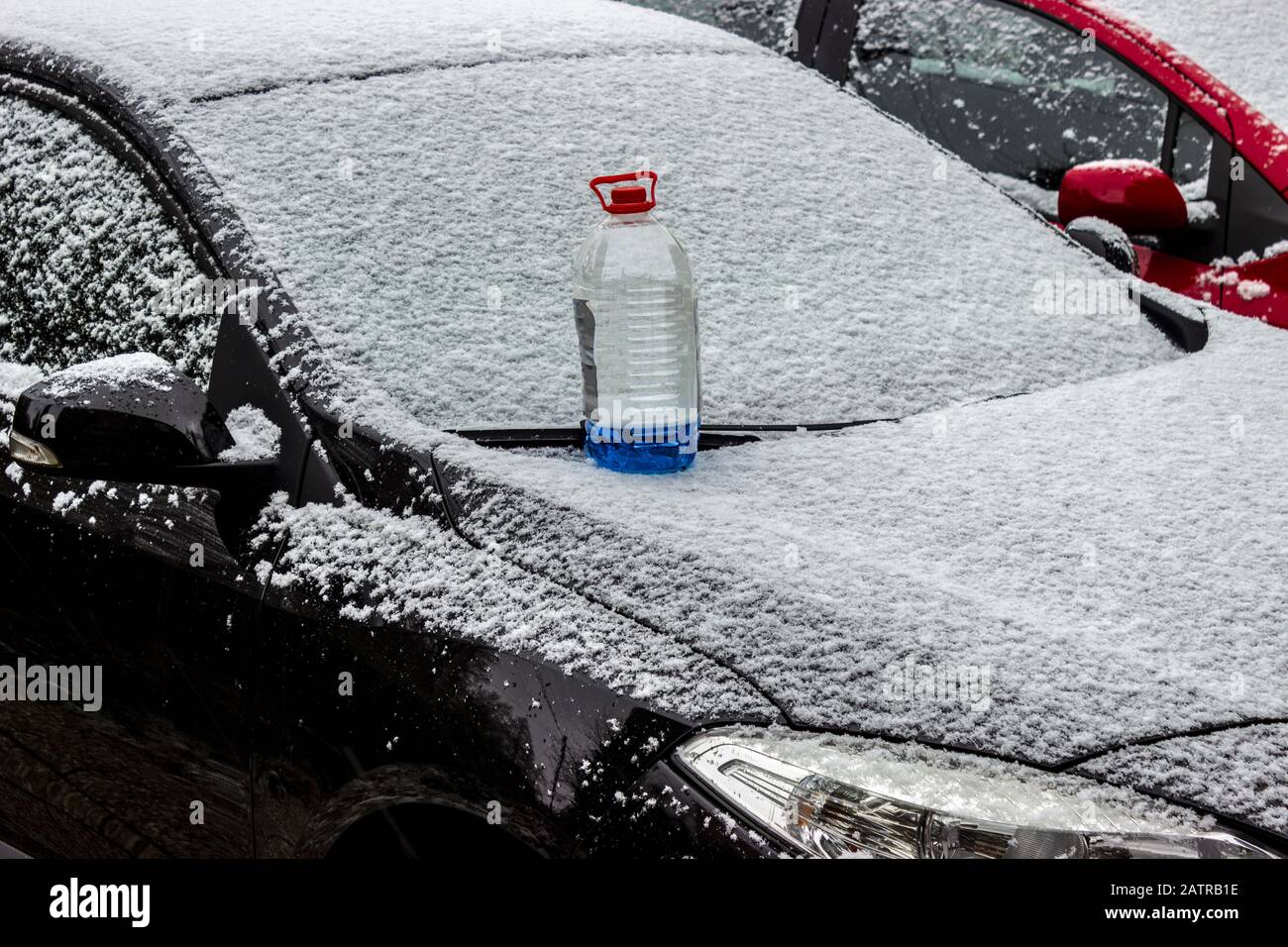 Windscreen washer antifreeze stands on front hood of black car in snow in winter. Stock Photo