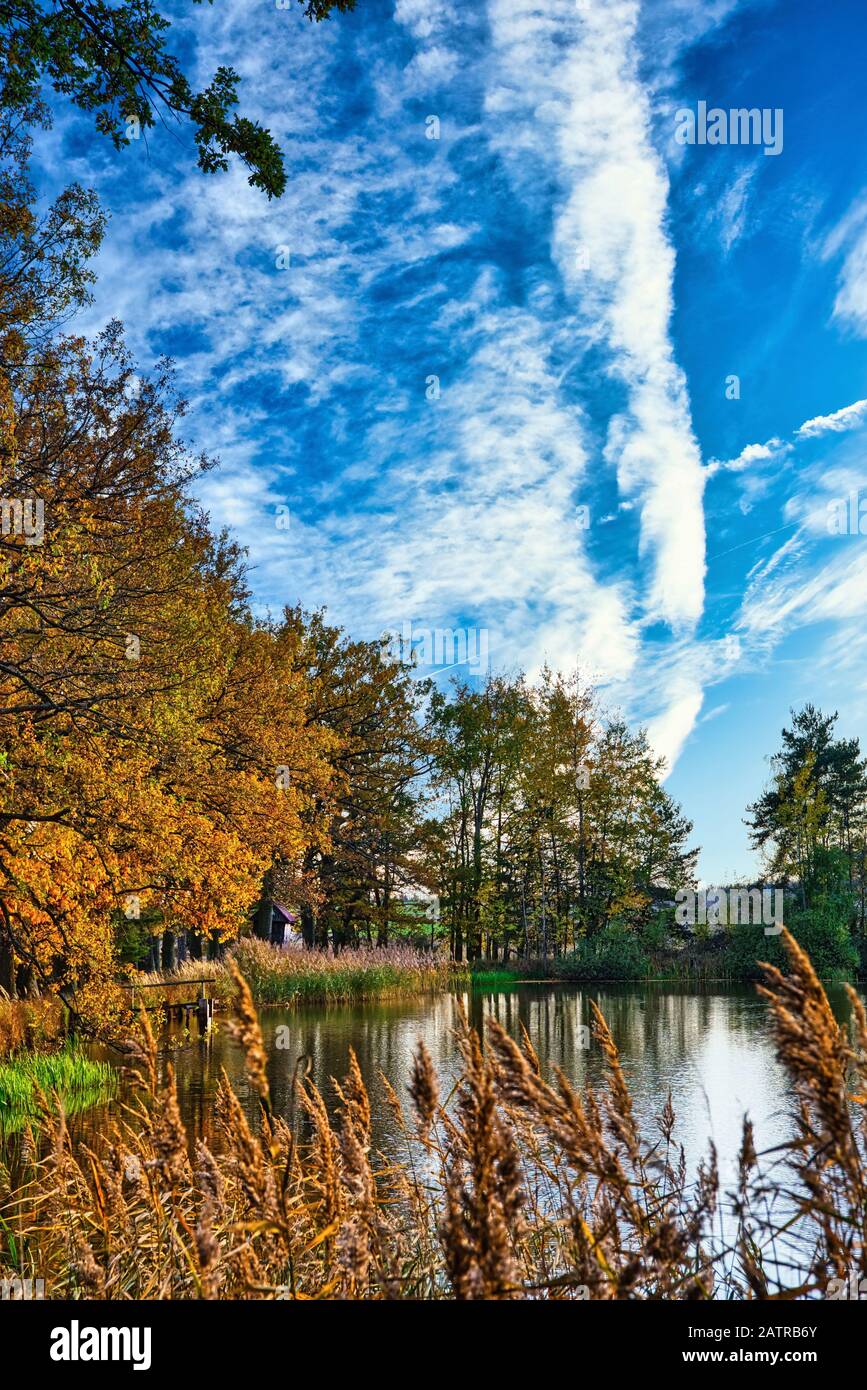 Vertical photo with view over small pond in autumn season. Orange grass and colorful trees are on sides. Sky is blue with white clouds. Stock Photo