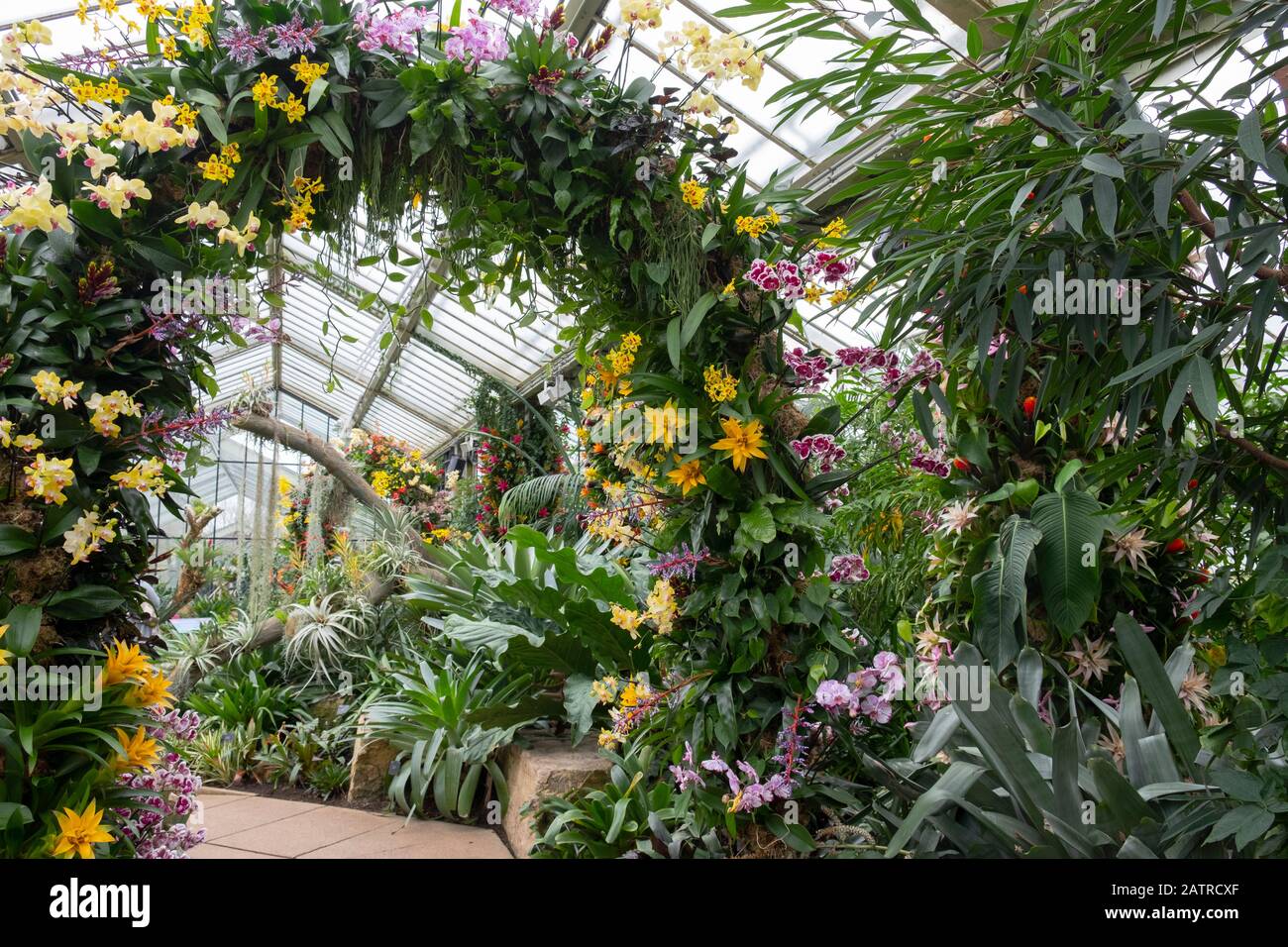 An arch covered with orchids and other tropical flowers at the Kew Orchid Festival 2020: Indonesia.  London, UK Stock Photo