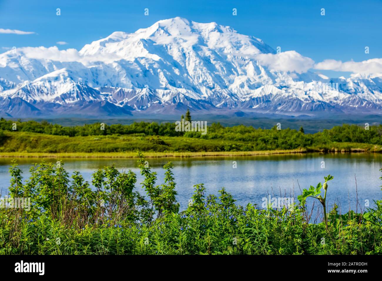View of Denali and Reflection Pond taken from the park road while driving to Wonder Lake, Denali National Park and Preserve Stock Photo
