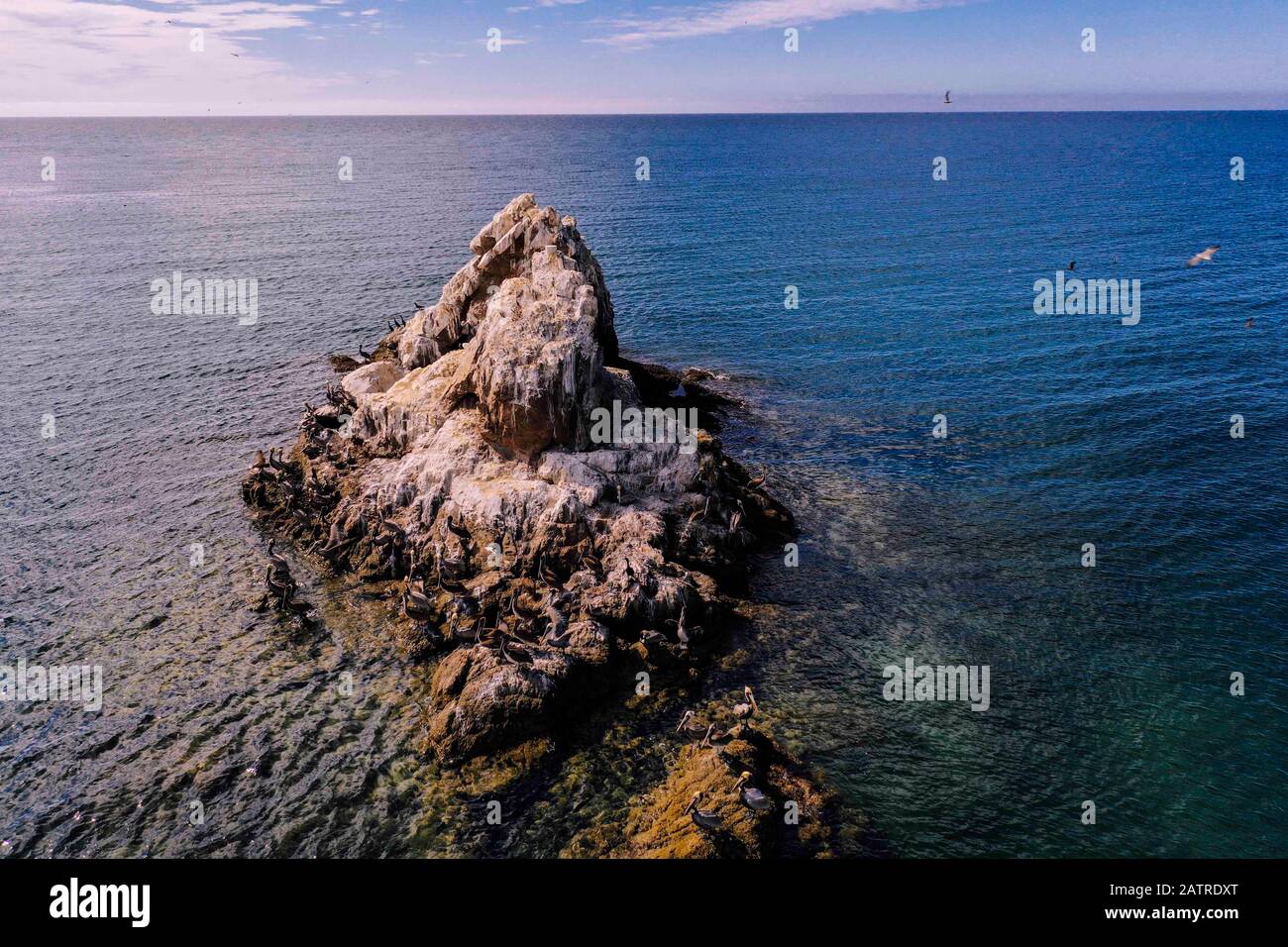 Islets, island in Choyudo beach. stable land area full of guano. Islet is a small island: Cayo, Faralló Islette, Isle, sea water, surrounded, body of water, aera view, vista aera, turquoise, green, blue, color turquesa, color verde, color azul .  islotes, isla en playa el Choyudo. zona terrestre estable plagada de guano. islote es una pequeña isla: cayo, faralló islette, isle ,  agua de mar, rodeada, masa de agua,  (Photo:LuisGutierrez) Stock Photo