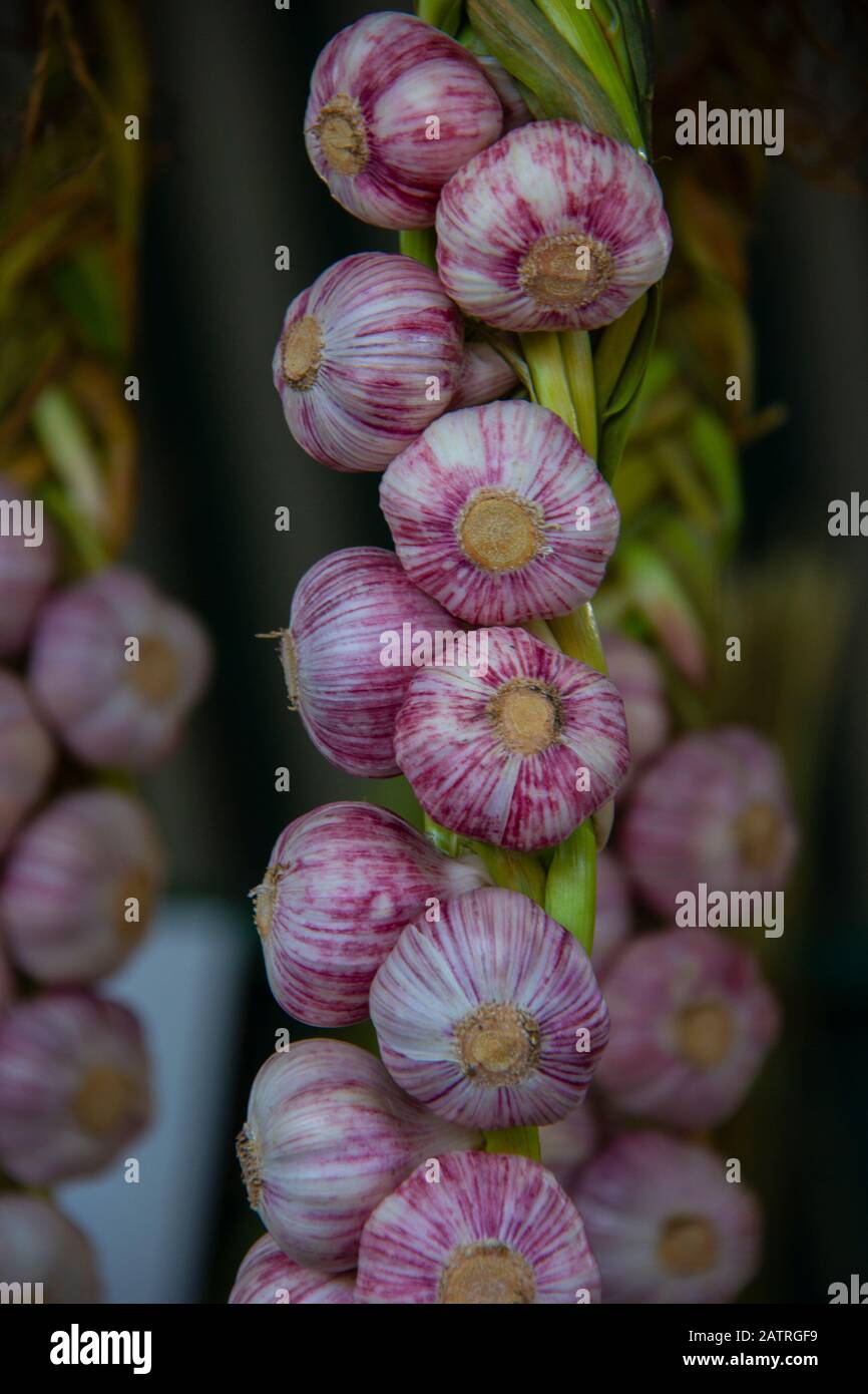 Garlic braid Stock Photo