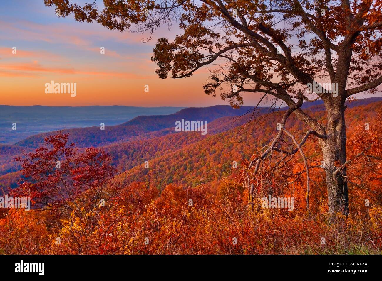 Sunset, Turk Mountain Overlook, Shenandoah National Park, Virginia, USA Stock Photo
