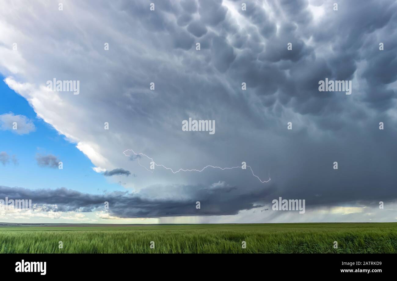 A lightning bolt encircles the updraft of a low precipitation supercell as it drifts across the High Plains; Corado, United States of America Stock Photo